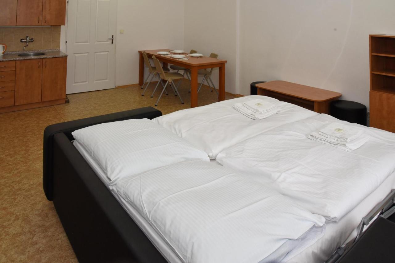 Zamek Racice Hotel Ngoại thất bức ảnh