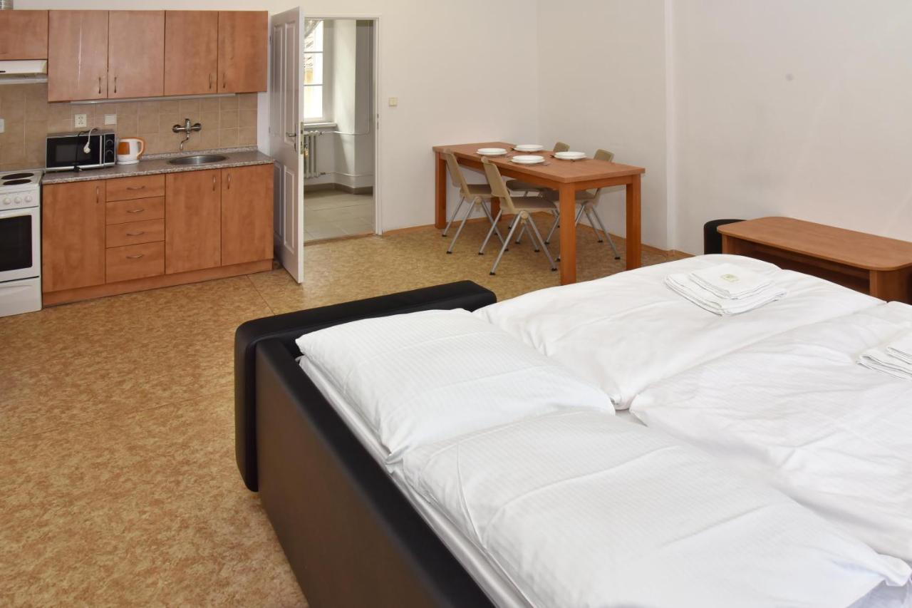 Zamek Racice Hotel Ngoại thất bức ảnh